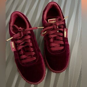 Velvet burgundy pumas
